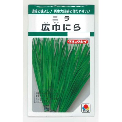 画像1: [葉物]　にら　広巾にら　13ml　タキイ種苗　GF　