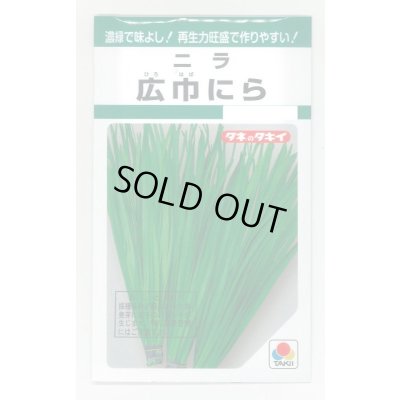 画像1: にら 広巾にら 13ml タキイ種苗 GF