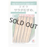 [牛蒡] サラダむすめ (てがるゴボウ) 4.5ml タキイ種苗(株) GF
