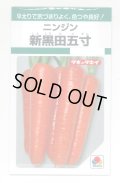 送料無料　[人参]　新黒田五寸　タキイ種苗　GF
