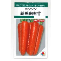 送料無料　[人参]　新黒田五寸　タキイ種苗　GF