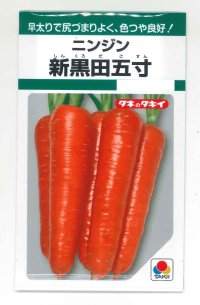 送料無料　[人参]　新黒田五寸　タキイ種苗　GF