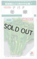 送料無料　[葉物]　冬華　5ml　タキイ種苗(株)　GF