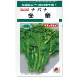 送料無料　[葉物]　冬華　5ml　タキイ種苗(株)　GF