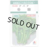 送料無料　[葉物]　冬華　5ml　タキイ種苗(株)　GF