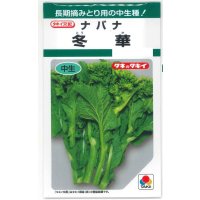 送料無料　[葉物]　冬華　5ml　タキイ種苗(株)　GF