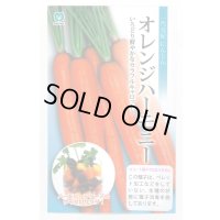 送料無料　[人参]　オレンジハーモニー　1万粒　丸種(株)