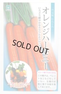 送料無料　[人参]　オレンジハーモニー　1000粒　丸種(株)