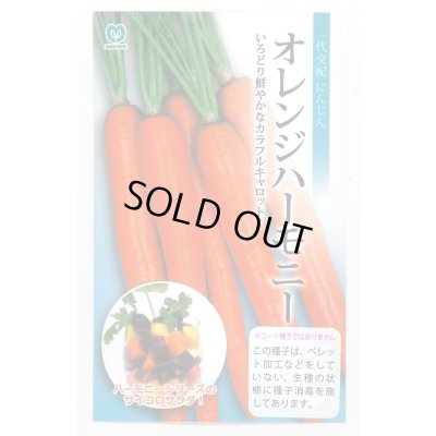 画像1: 送料無料　[人参]　オレンジハーモニー　1000粒　丸種(株)
