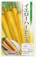 送料無料　[人参]　イエローハーモニー　1000粒　丸種(株)