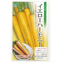 [人参]　イエローハーモニー　1万粒　　丸種（株）