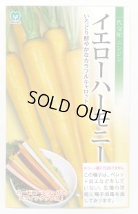 送料無料　[人参]　イエローハーモニー　1000粒　丸種(株)