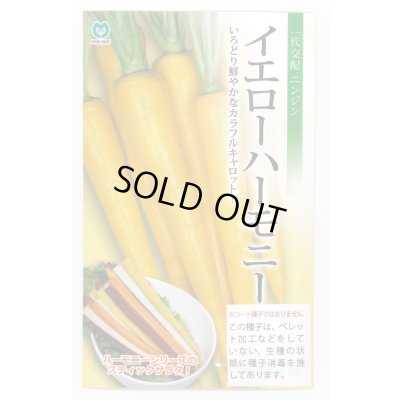 画像1: 送料無料　[人参]　イエローハーモニー　1000粒　丸種(株)