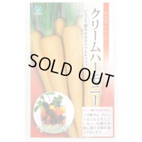 送料無料　[人参]　クリームハーモニー　1万粒　丸種(株)