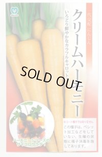 送料無料　[人参]　クリームハーモニー　1000粒　丸種(株)