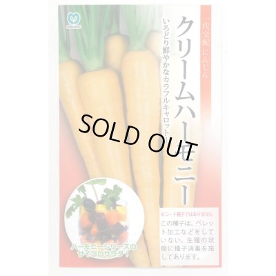 画像1: 送料無料　[人参]　クリームハーモニー　1000粒　丸種(株)