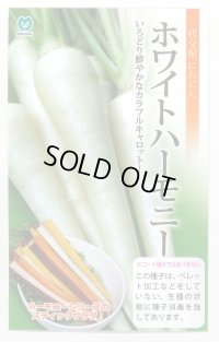 送料無料　[人参]　ホワイトハーモニー　1000粒　丸種(株)