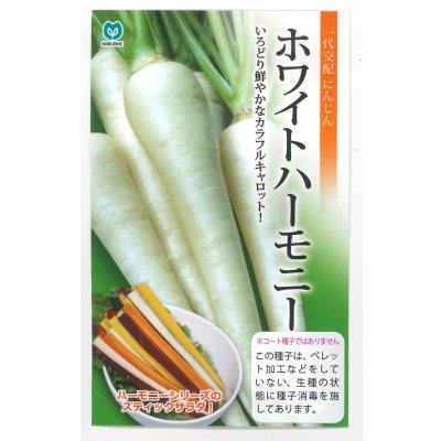 画像1: 送料無料　[人参]　ホワイトハーモニー　1000粒　丸種(株)