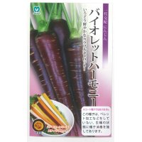 [人参]　バイオレットハーモニー　1万粒　　丸種（株）