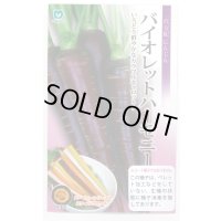 送料無料 [人参]　バイオレットハーモニー　1万粒　　丸種（株）