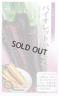 送料無料　[人参]　バイオレットハーモニー　1000粒　丸種(株)