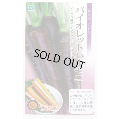 画像1: 送料無料　[人参]　バイオレットハーモニー　1000粒　丸種(株)