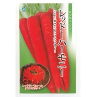 [人参]　レッドハーモニー　1万粒　　丸種（株）