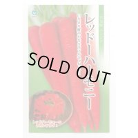 送料無料　[人参]　レッドハーモニー　1000粒　丸種(株)