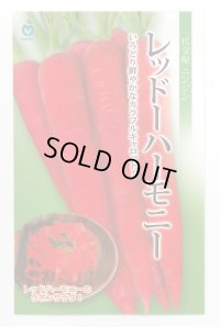 送料無料　[人参]　レッドハーモニー　1000粒　丸種(株)