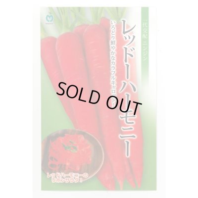 画像1: 送料無料　[人参]　レッドハーモニー　1000粒　丸種(株)