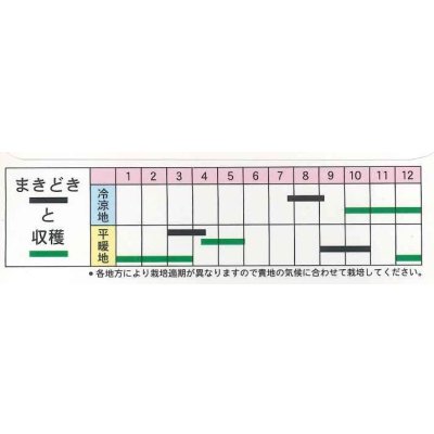 画像3: 送料無料　広島菜　7ml　(およそ1500粒)　丸種(株)