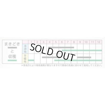画像3: 送料無料　雪白体菜　7ml　丸種(株)
