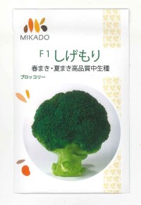 送料無料　[ブロッコリー]　しげもり　20ml　ヴィルモランみかど（株）