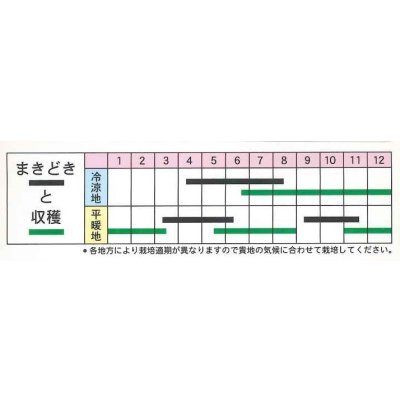 画像3: 送料無料　[葉物]　かつお菜　5ml　(およそ1700粒)　丸種(株)