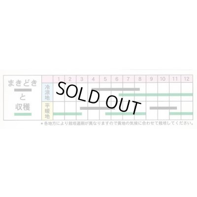 画像3: 送料無料　かつお菜　5ml　(およそ1700粒)　丸種(株)