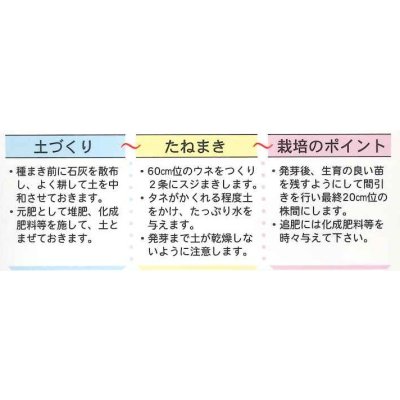 画像4: 送料無料　[葉物]　かつお菜　5ml　(およそ1700粒)　丸種(株)