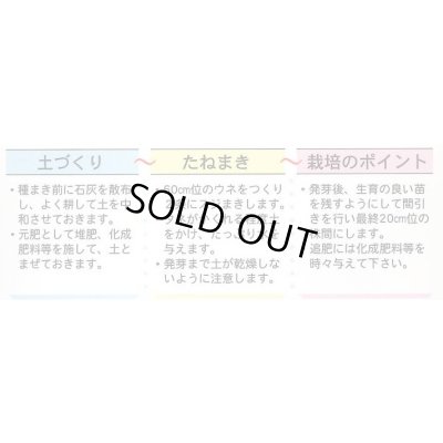 画像4: 送料無料　かつお菜　5ml　(およそ1700粒)　丸種(株)