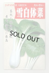 送料無料　雪白体菜　7ml　丸種(株)