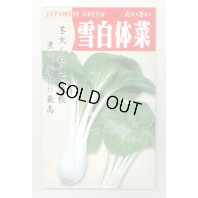 画像1: 送料無料　雪白体菜　7ml　丸種(株)