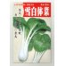 画像1: [葉物]　雪白体菜　8ml 丸種（株） (1)