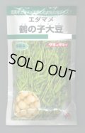 送料無料　[枝豆]　鶴の子大豆　60ml(およそ70粒)　タキイ種苗　GF