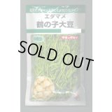 送料無料　[枝豆]　鶴の子大豆　60ml(およそ70粒)　タキイ種苗　GF
