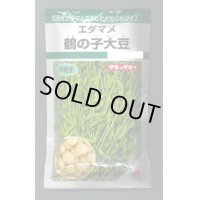 [枝豆]　鶴の子大豆　60ml（およそ70粒）　タキイ種苗　GF