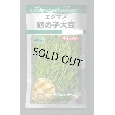 画像1: [枝豆]　鶴の子大豆　60ml（およそ70粒）　タキイ種苗　GF