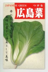 送料無料　広島菜　7ml　(およそ1500粒)　丸種(株)