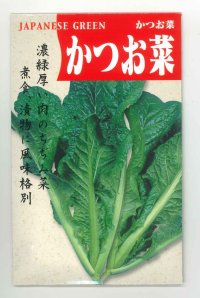 [葉物]　かつお菜　5ml （およそ1700粒）  丸種（株）