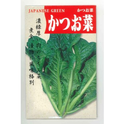 画像1: 送料無料　[葉物]　かつお菜　5ml　(およそ1700粒)　丸種(株)