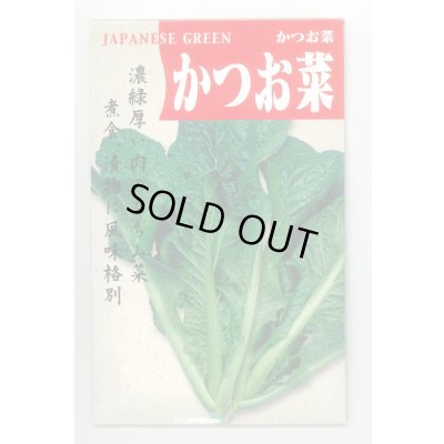 画像1: 送料無料　かつお菜　5ml　(およそ1700粒)　丸種(株)