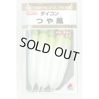 送料無料　[大根]　つや風　10ml　タキイ種苗(株)