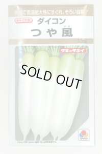 送料無料　[大根]　つや風　10ml　タキイ種苗(株)